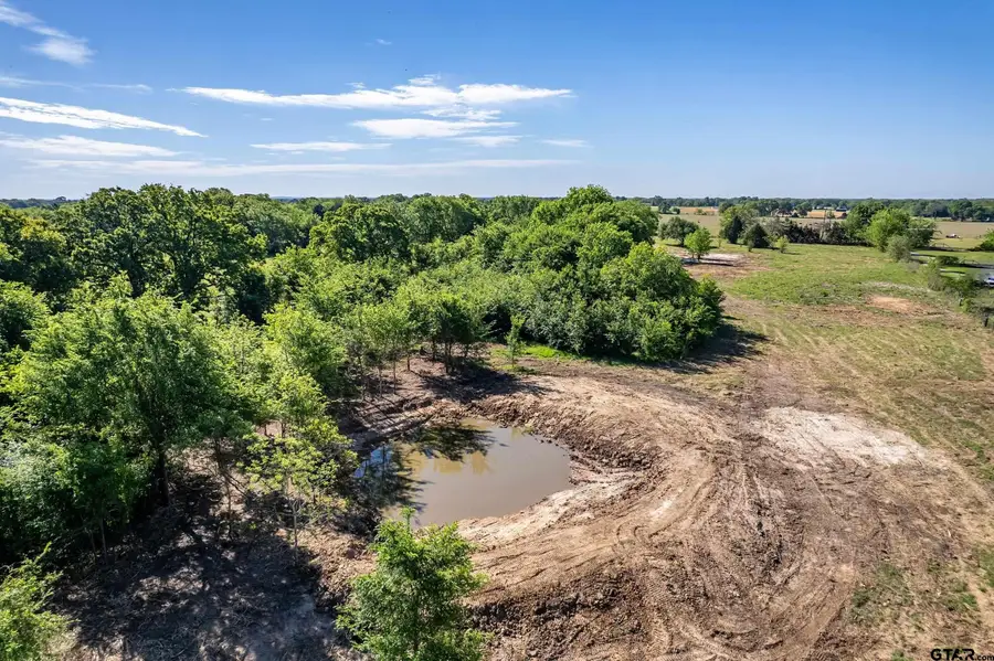 15834 county road 2501, Eustace, TX 75124 - #3