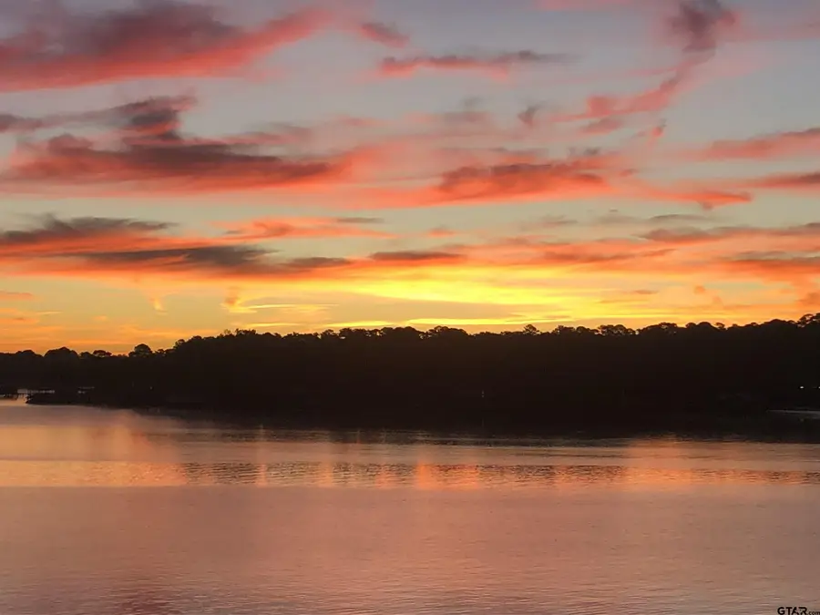 23161 Piney Woods Trail, Flint, TX 75762 - #2