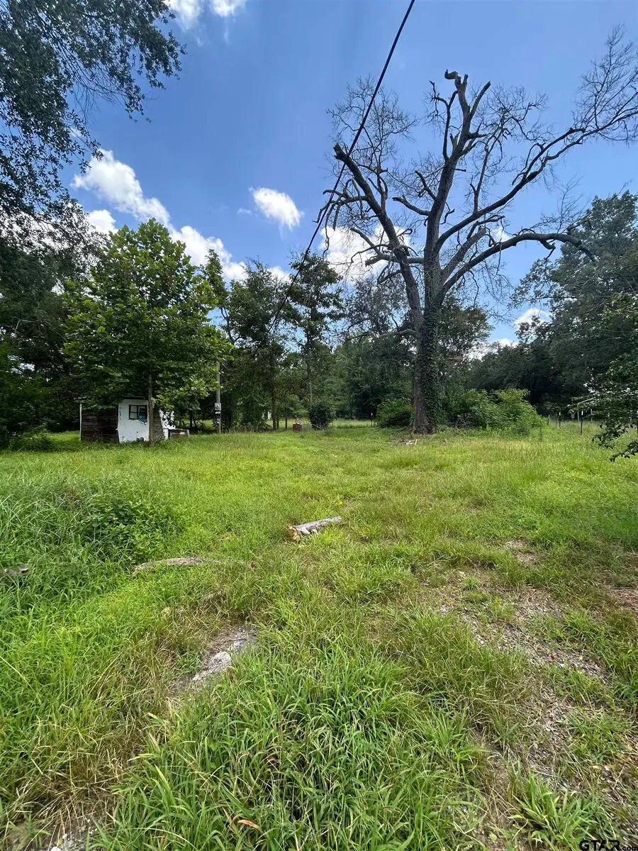 6447 State Hwy 155, Gilmer, TX 75645 - #2