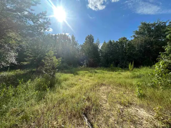 TBD Franklin Rd., Hallsville, TX 75650