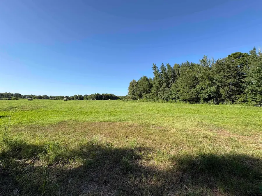 TBD County Road 1203 Central Rd, Daingerfield, TX 75638 - #2
