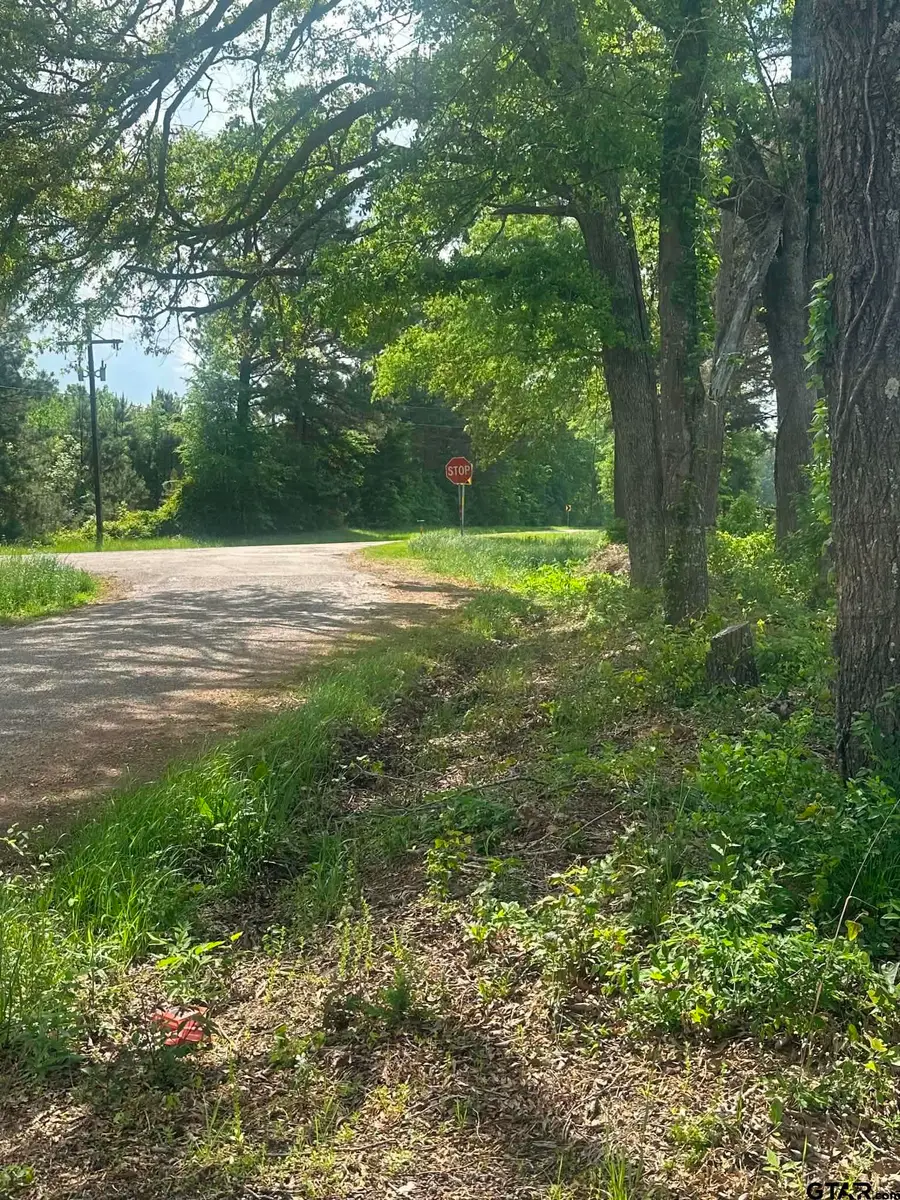 TBD County Road 1203 Central Rd, Daingerfield, TX 75638 - #3