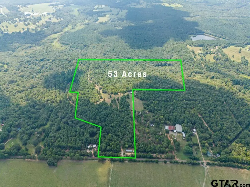 TBD Scrub Pine Road, Big Sandy, TX 75755 - #1