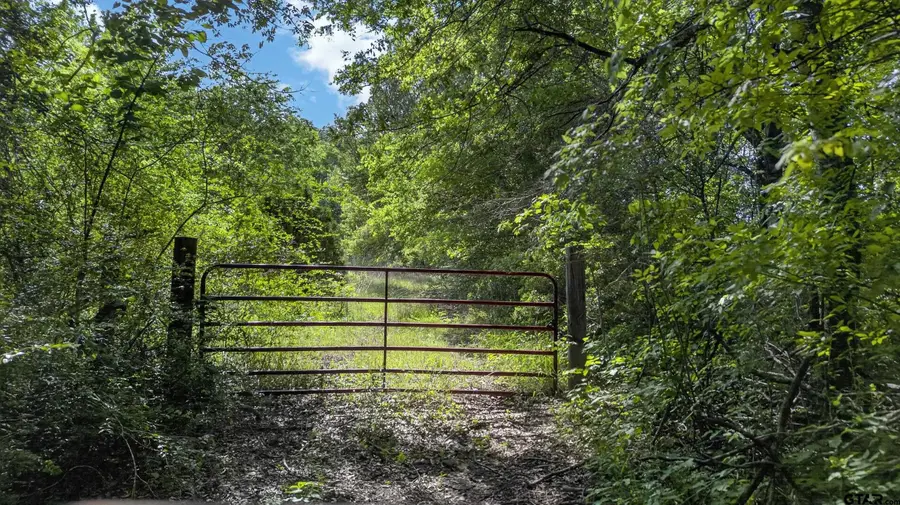 12411 CR 4168, Tyler, TX 75706 - #2