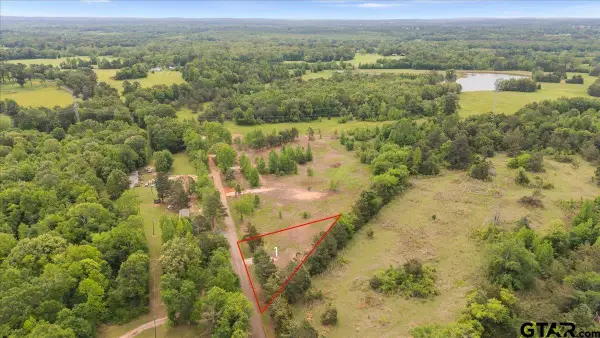 Lot 1 CR 1552, Long Branch, TX 75669