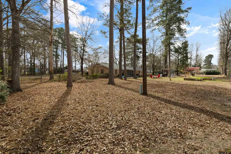 119 N Mimosa, Ore City, TX 75683 - #2