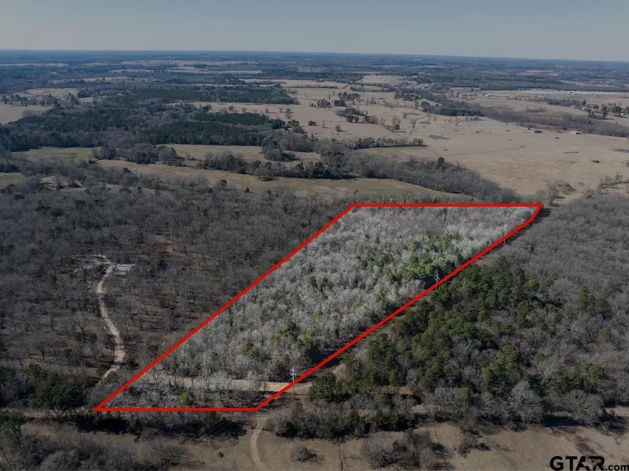 TBD County Road 4246, Pittsburg, TX 75686 - #3