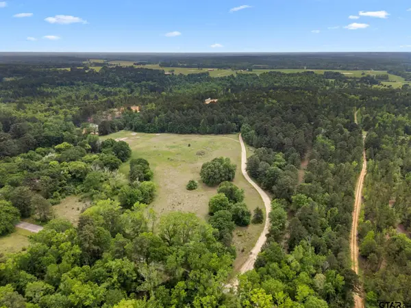 21360 CR 294, Arp, TX 75750