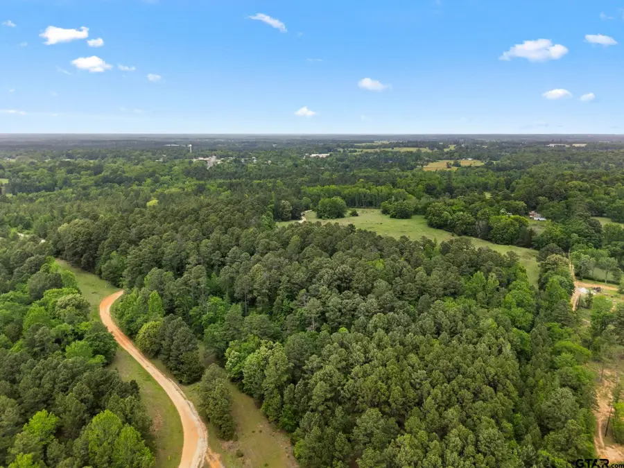 21360 CR 294, Arp, TX 75750 - #3