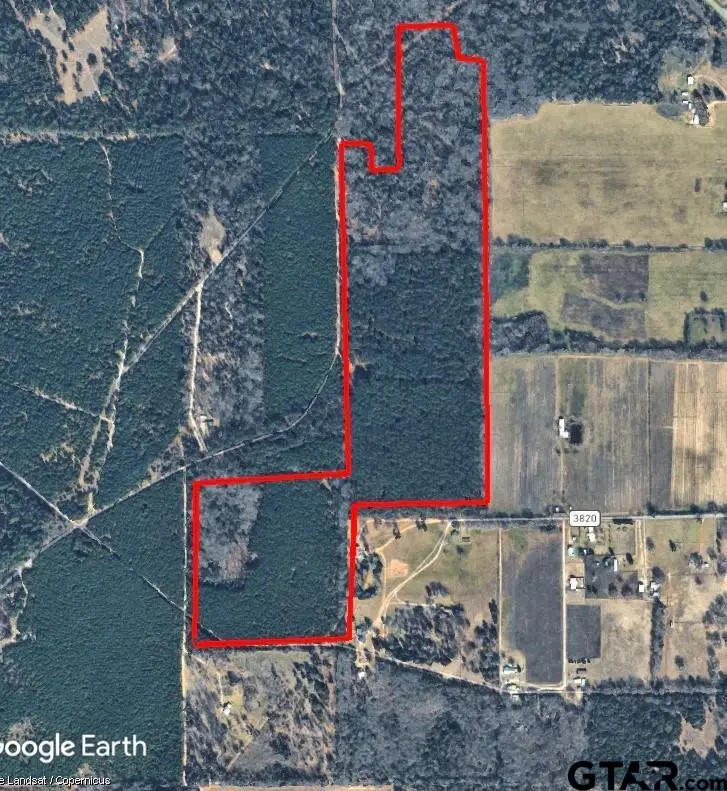 000 Private road 7832, Hawkins, TX 75765 - #2