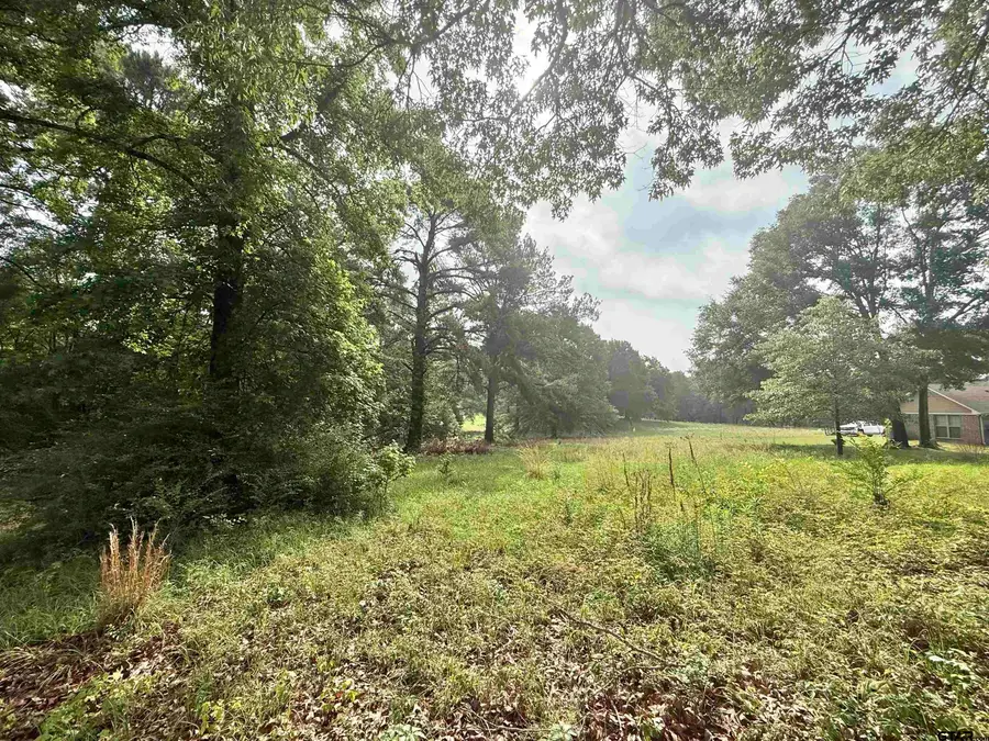 TBD Harvard Dr, Jacksonville, TX 75766 - #2