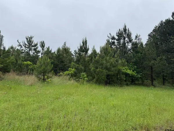 3369 CR 2472, Naples, TX 75568