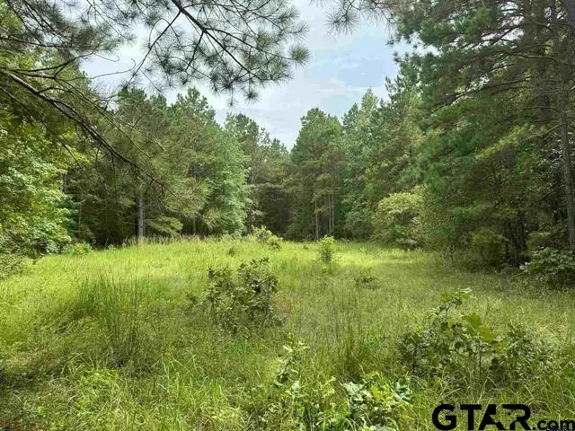 TBD Cr 2322, Rusk, TX 75785 - #2