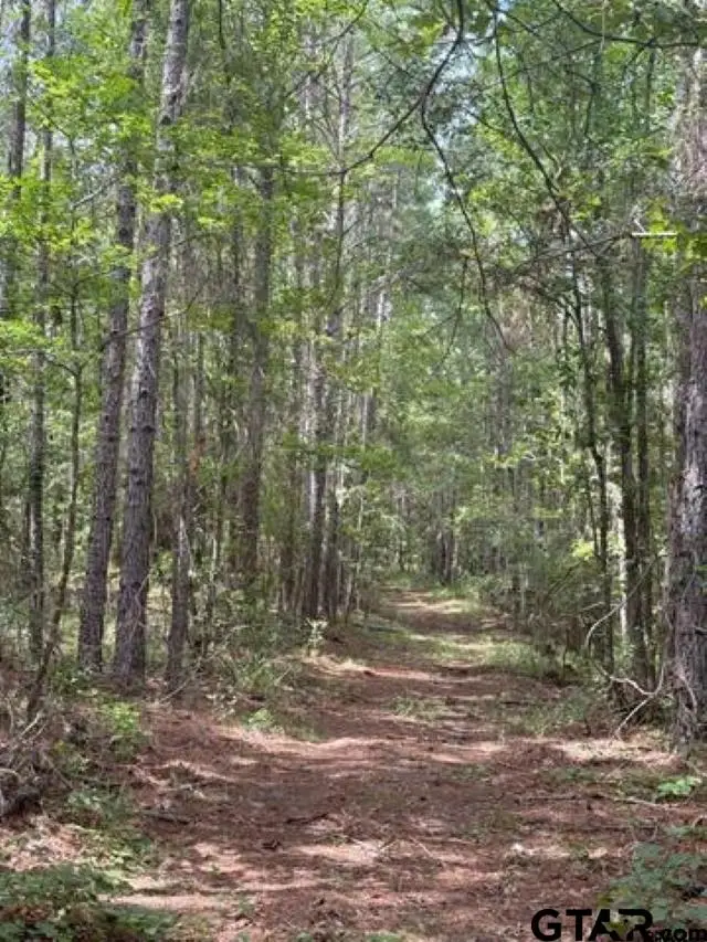 TBD Cr 2322, Rusk, TX 75785 - #3