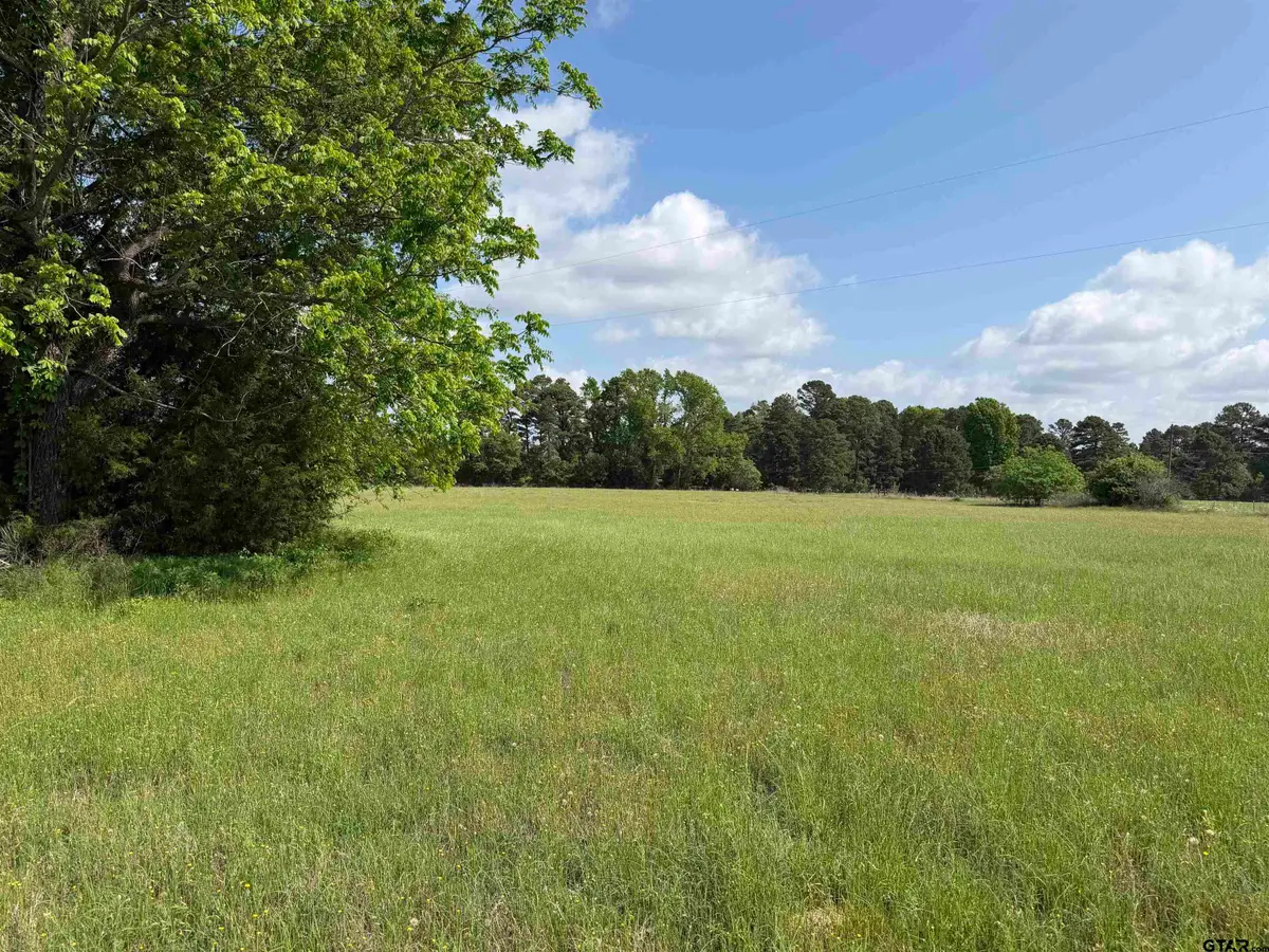 TBD CR 3147, Tyler, TX 75706 - #1