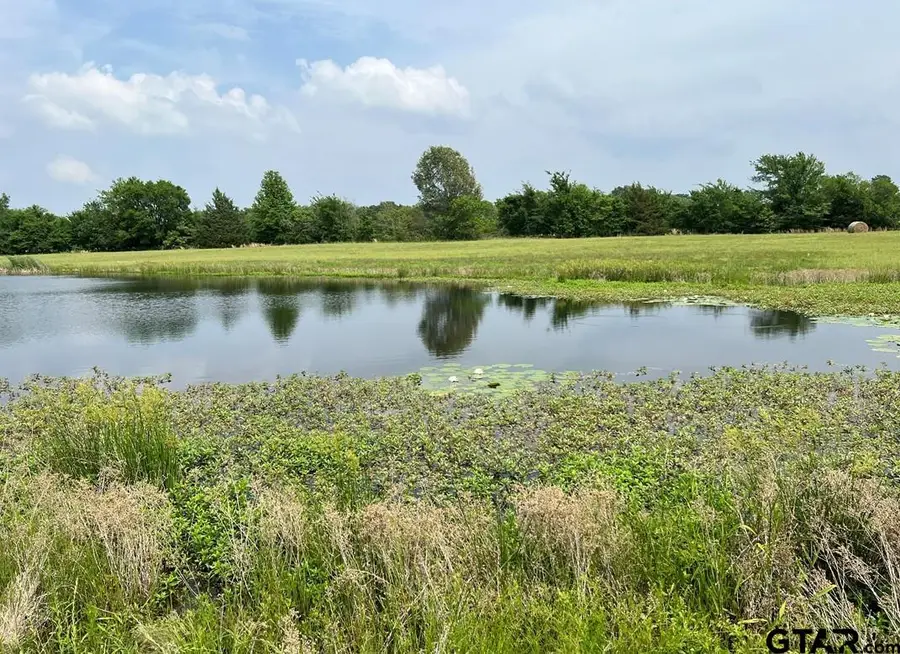 LOT 11 PR 5291, Yantis, TX 75497 - #2