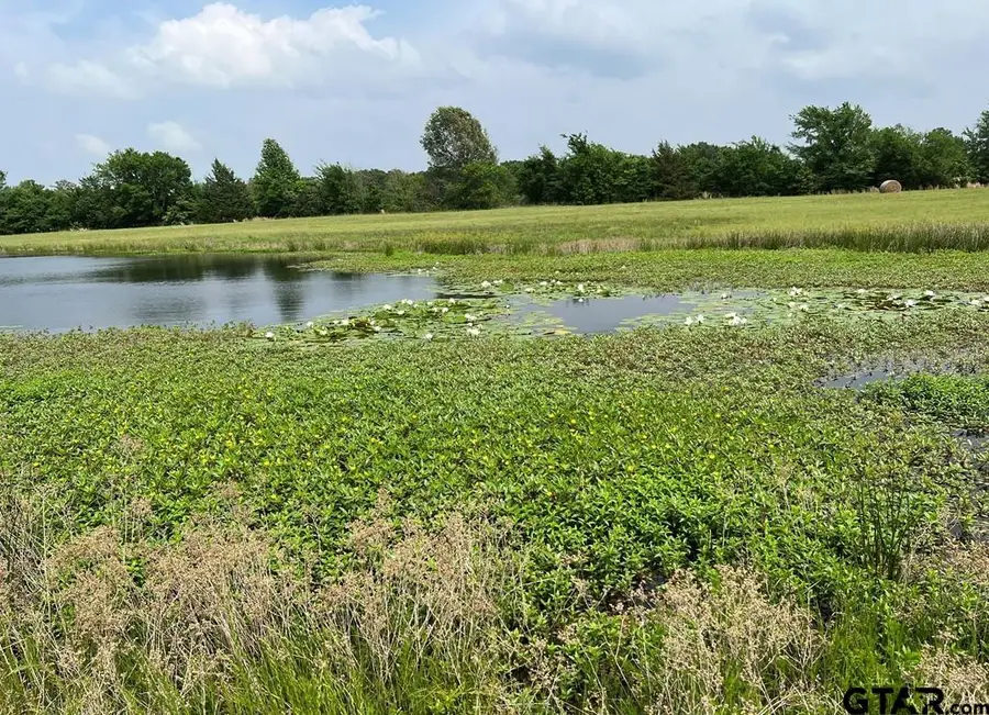 LOT 11 PR 5291, Yantis, TX 75497 - #3