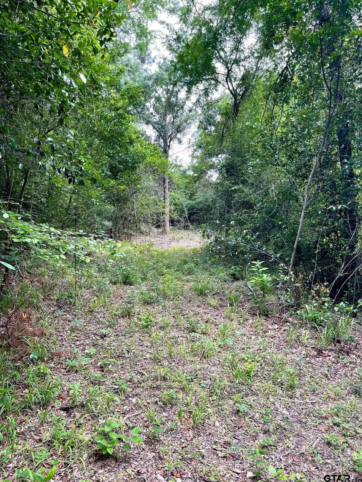 TBD County Road 1147, Tyler, TX 75704 - #1