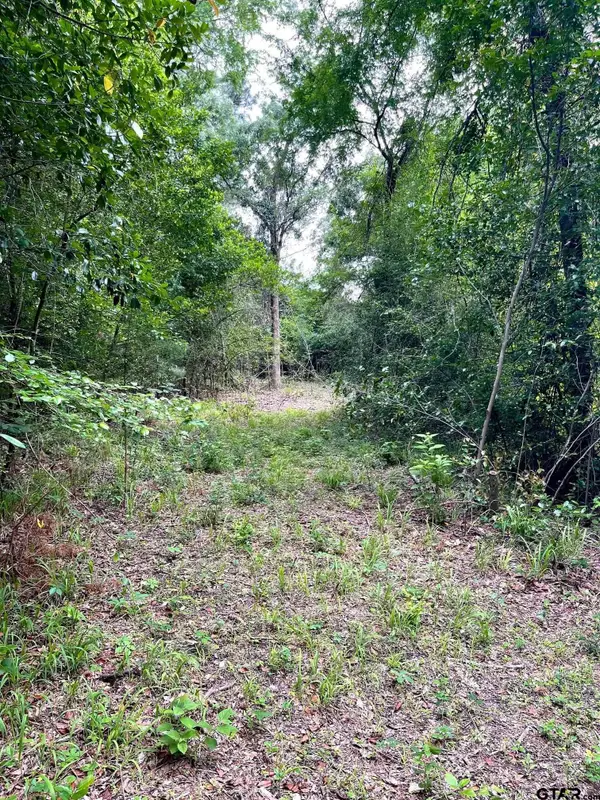 TBD County Road 1147, Tyler, TX 75704