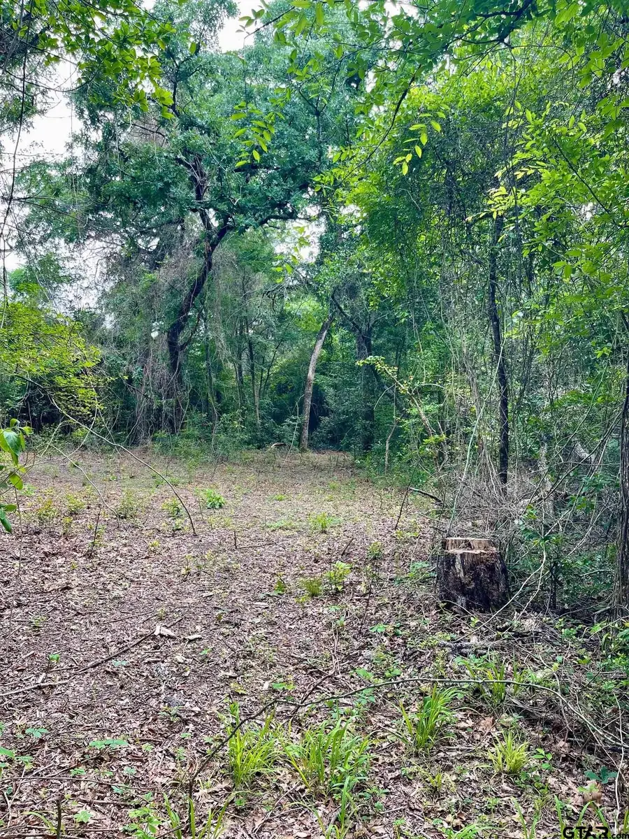 TBD County Road 1147, Tyler, TX 75704 - #2