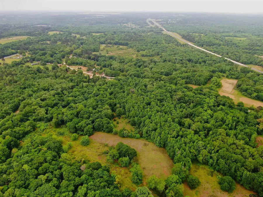 15918 County Road 46, Tyler, TX 75704 - #2