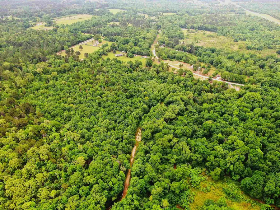 15918 County Road 46, Tyler, TX 75704 - #3