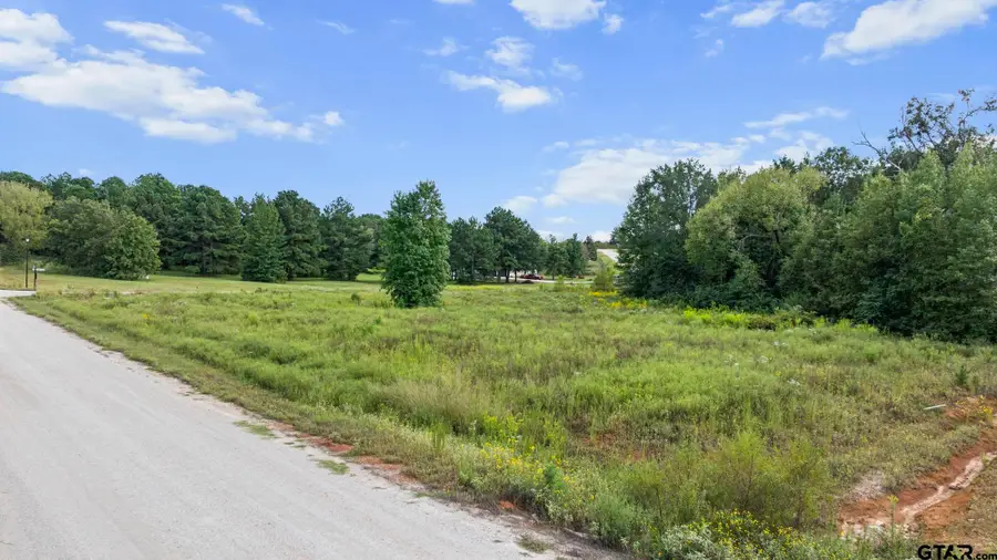 16404 Lepanto Lane, Winona, TX 75792 - #3