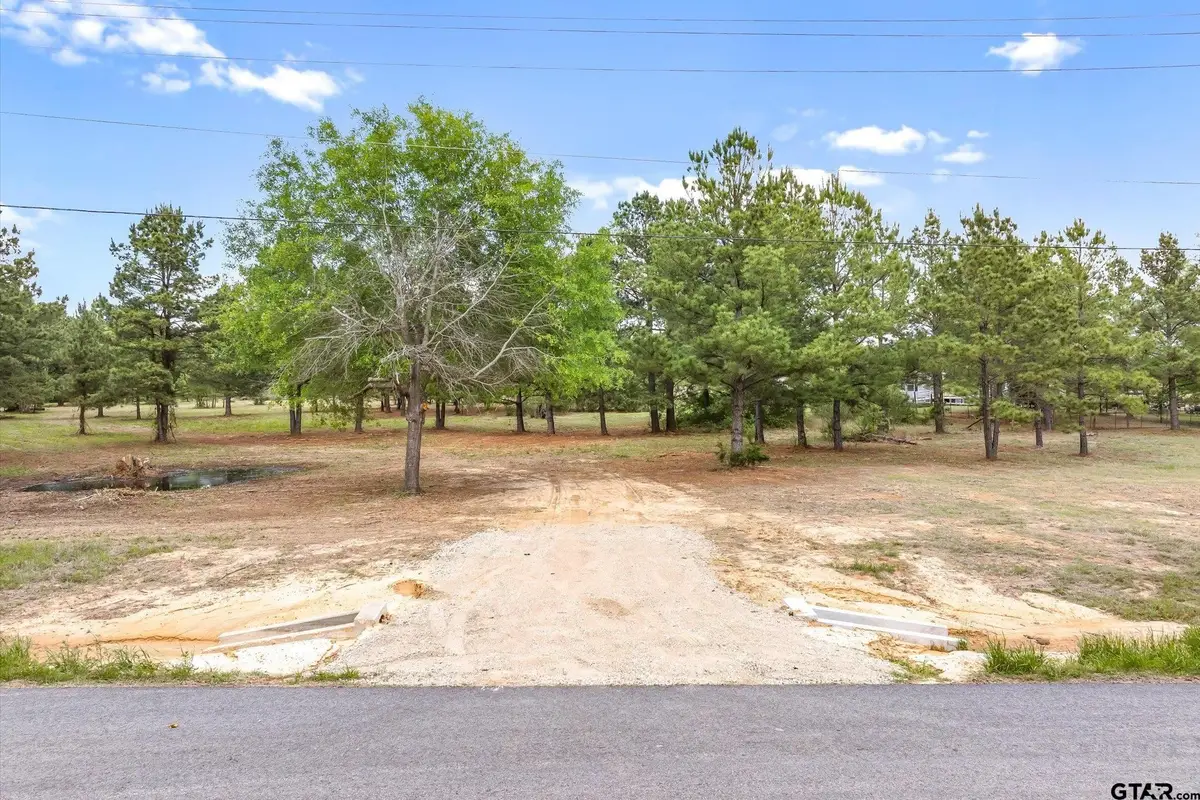 00 Hwy 69, Alba, TX 75410 - #1