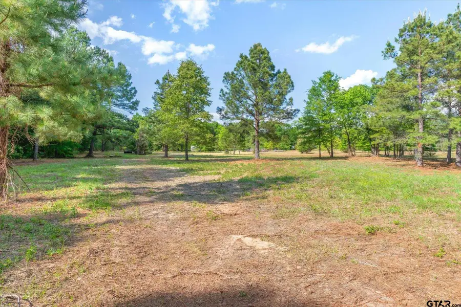 00 Hwy 69, Alba, TX 75410 - #3