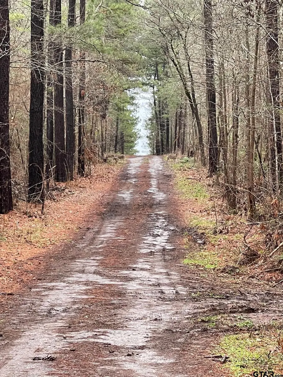 38 acres off Watson Rd, Kilgore, TX 75662 - #3