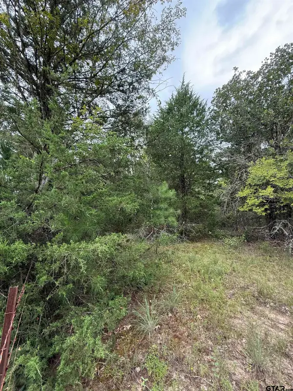 TBD County Road 4620, Troup,  75789
