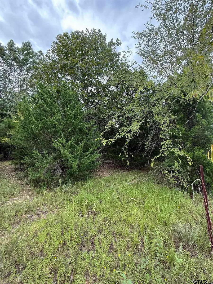 TBD County Road 4620, Troup, TX 75789 - #2