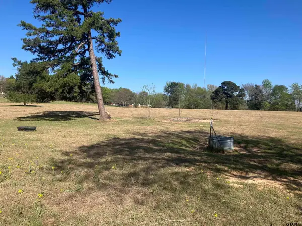 13033 CR 287, Tyler, TX 75707