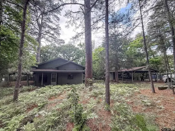 1036 Lake Franklin Dr, Winnsboro, TX 75494