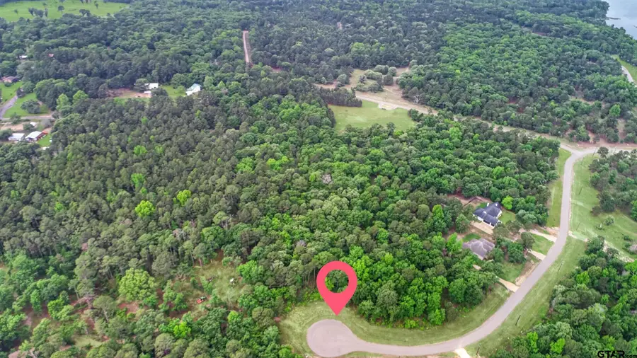 3101 Shadow Pine Dr, Larue, TX 75770 - #2