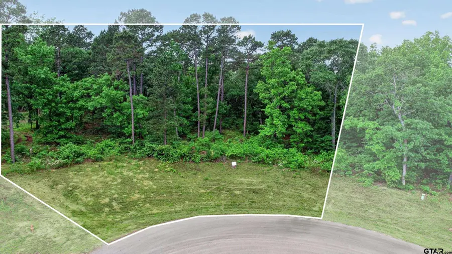 3101 Shadow Pine Dr, Larue, TX 75770 - #3