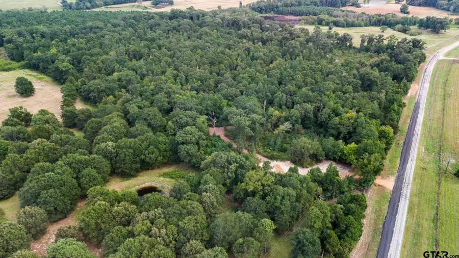 10 Acres FM 852, Gilmer, TX 75644 - #2