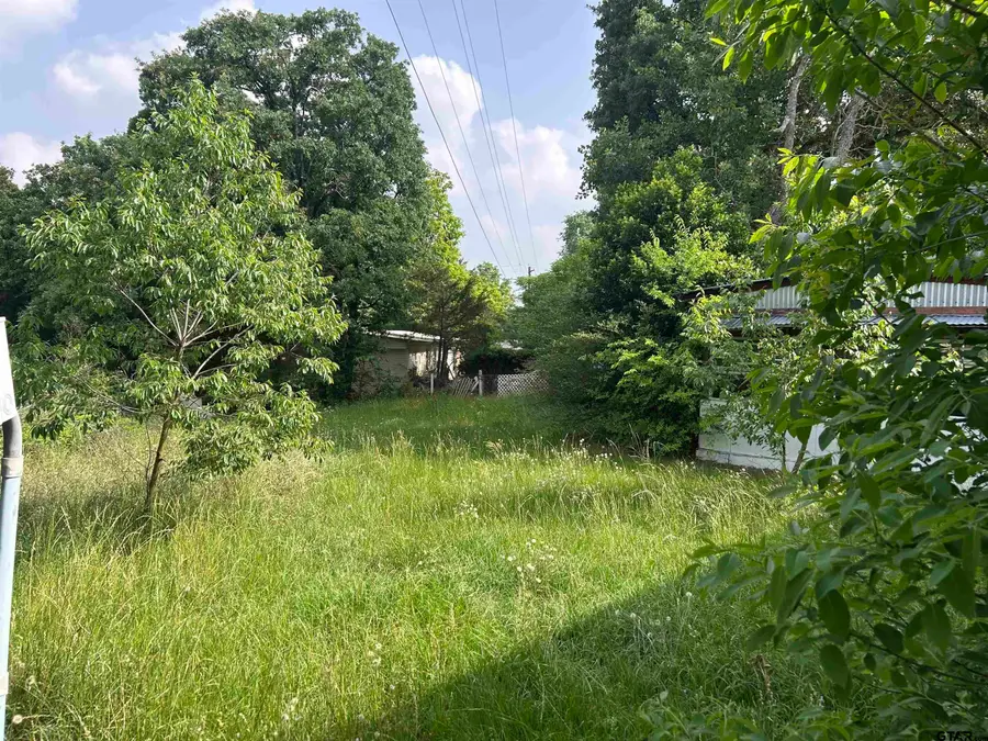 141 PR 6252, Mineola, TX 75773 - #2