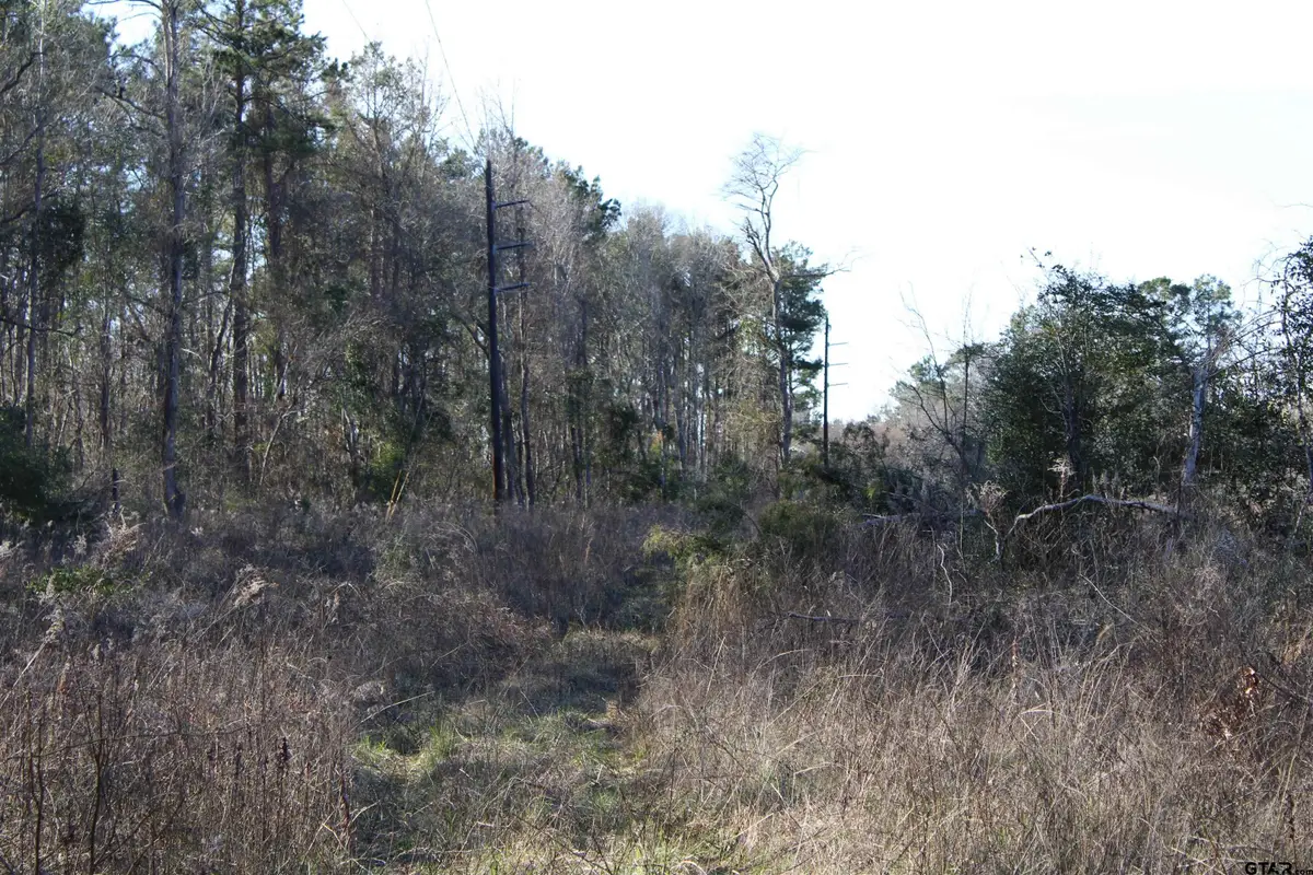 TBD CR 1627- 10 acres, Rusk, TX 75785 - #1