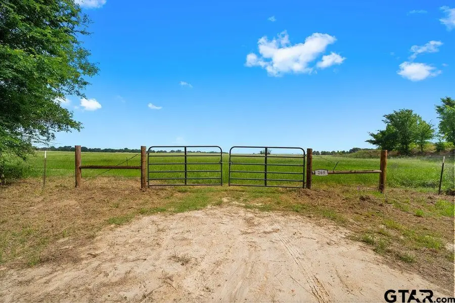 269 VZ County Road 4305, Ben Wheeler, TX 75754 - #2