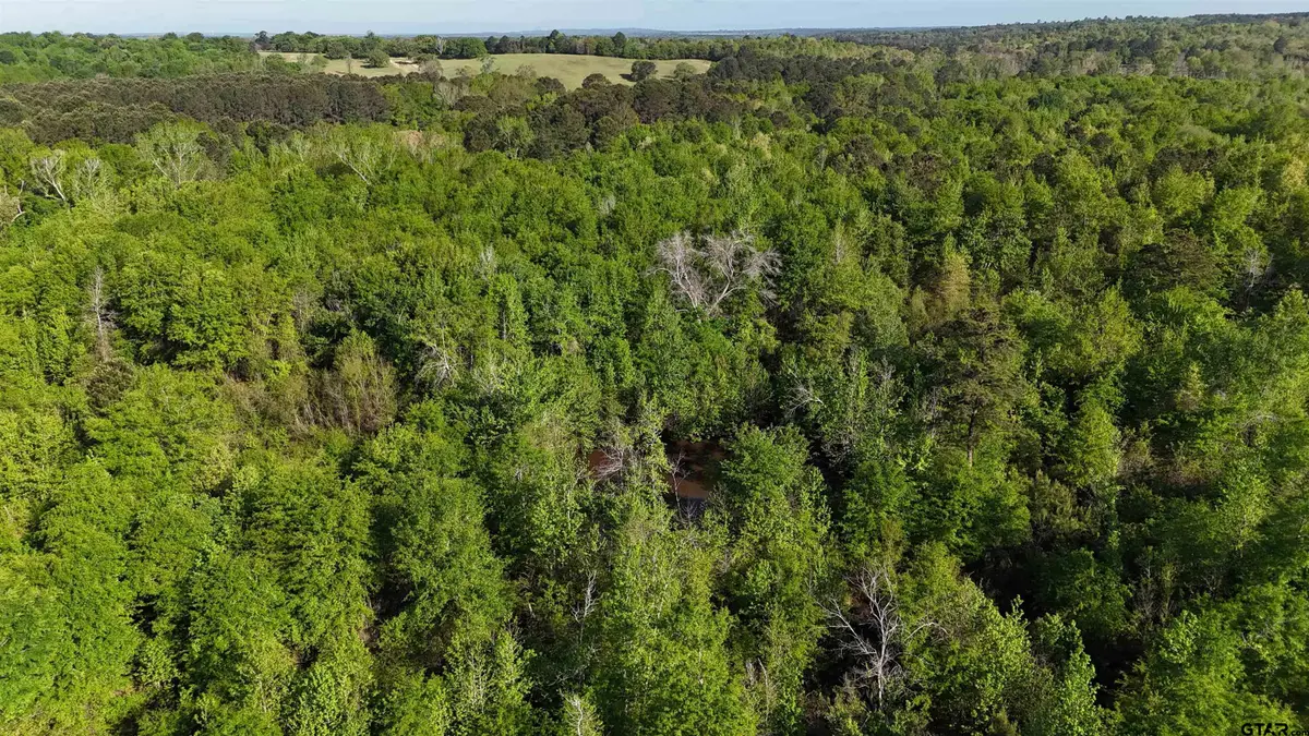 000B County Road 240, Tyler, TX 75705 - #1