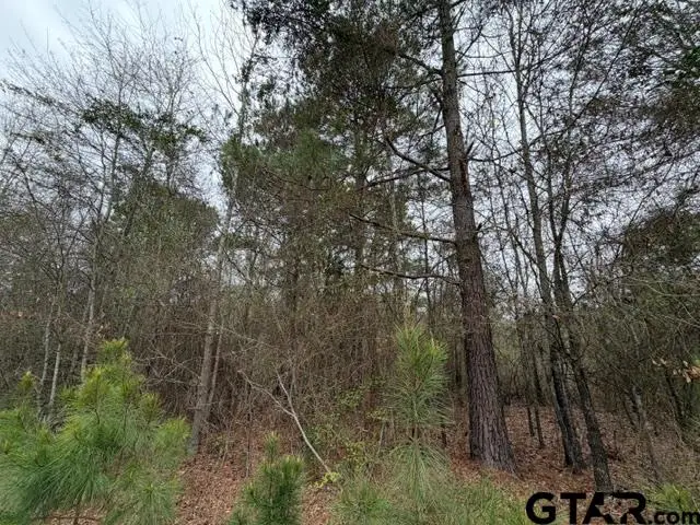 000B County Road 240, Tyler, TX 75705 - #2