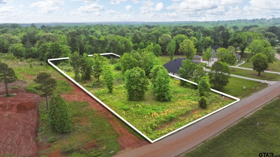 830 Stone Chimney Rd, Bullard, TX 75757 - #3