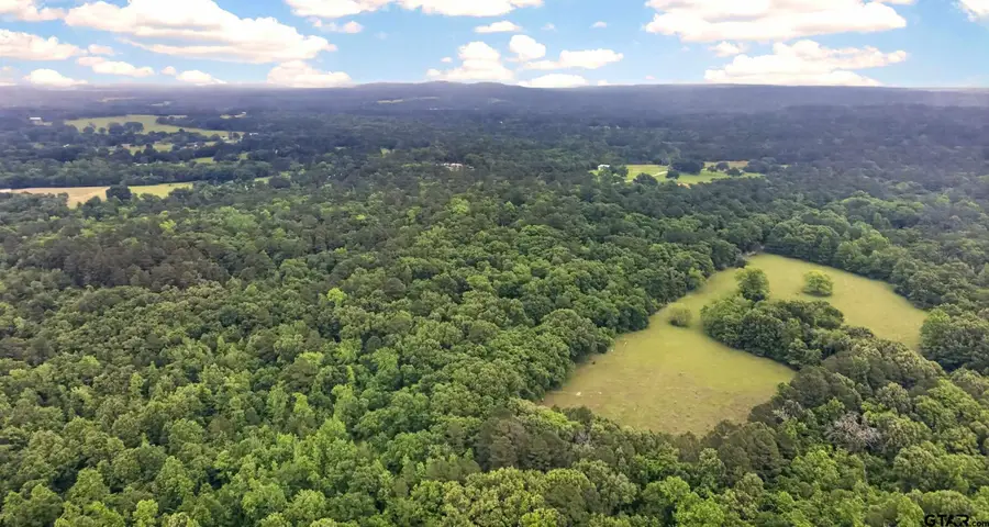 TBD CR 3603, Brownsboro, TX 75756 - #2