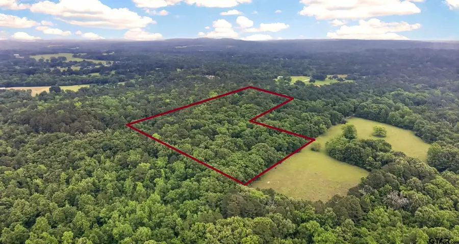 TBD CR 3603, Brownsboro, TX 75756 - #3
