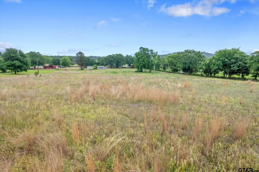 TBD CR 3605, Brownsboro, TX 75756 - #3