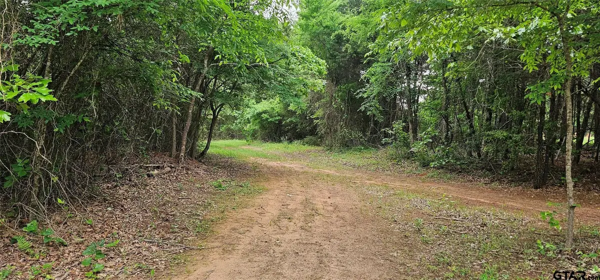 TBD VZ County Road 4814 - 22.5+/- AC, Ben Wheeler, TX 75754 - #1