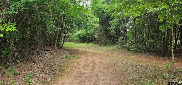 TBD Vz County Road 4814, Ben Wheeler, TX 75754
