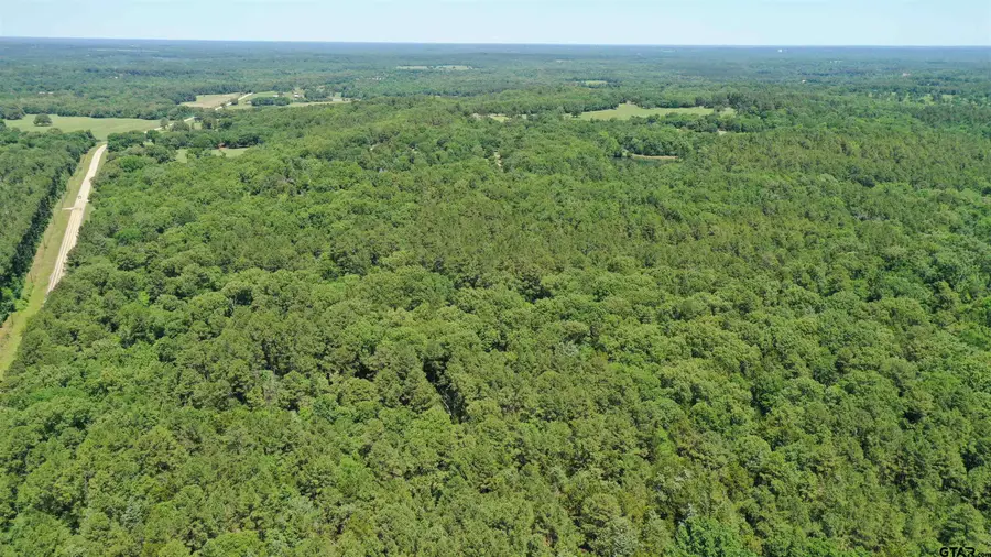 17762 FM 1253, Lindale, TX 75771 - #3