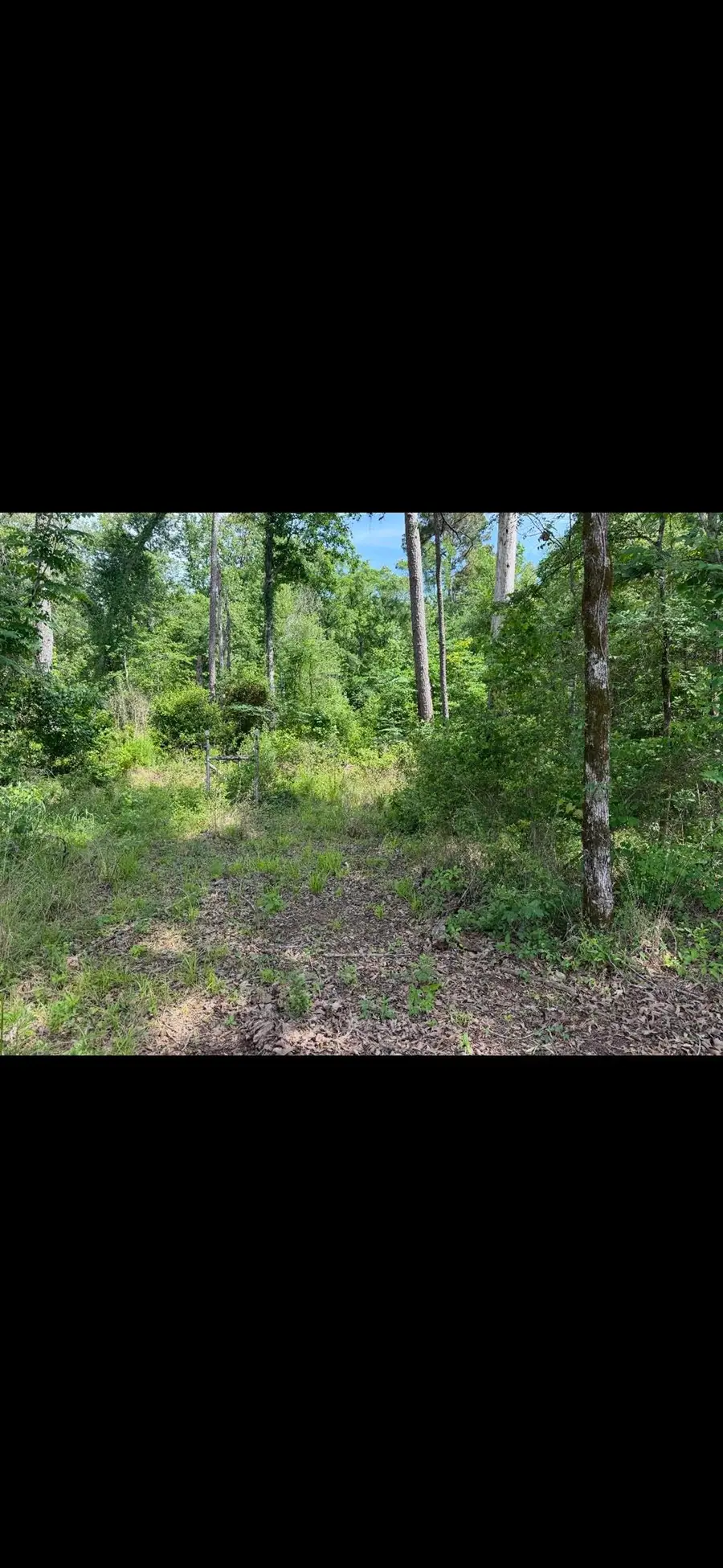 3678 CR 1804, Rusk, TX 75785 - #2